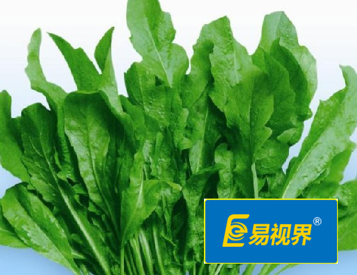 易視界護(hù)眼專家 眼睛干澀吃什么對(duì)眼睛好