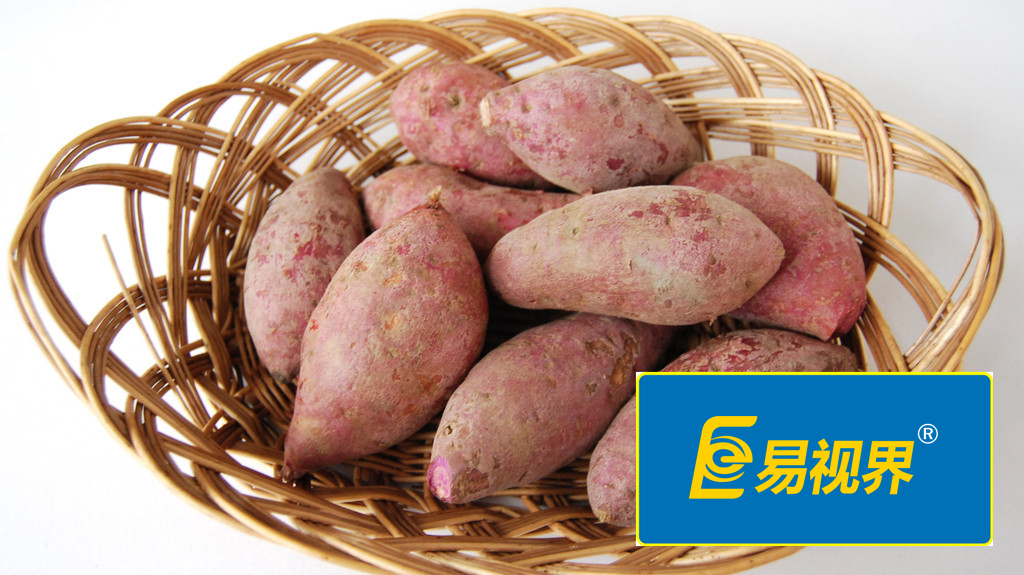 易視界護(hù)眼專家 眼睛干澀吃什么對(duì)眼睛好