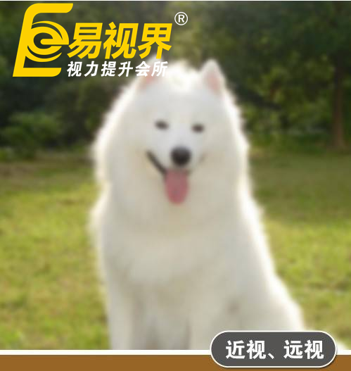 不一樣的眼病，不一樣的世界