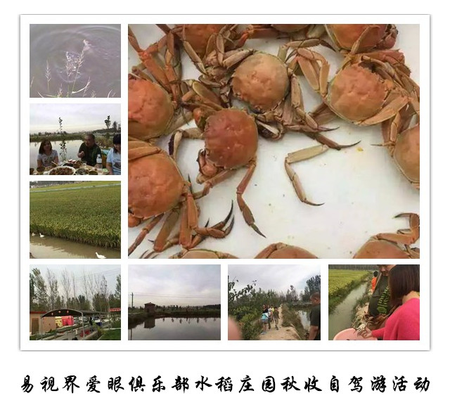 易視界愛眼俱樂部水稻莊園秋收自駕游活動(dòng)