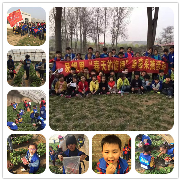 易視界“春天的旋律”草莓采摘活動圓滿結(jié)束