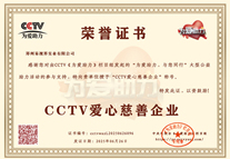 易視界榮獲CCTV愛(ài)心慈善企業(yè)榮譽(yù)稱(chēng)號(hào)