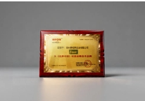 易視界連續(xù)兩年成《品牌中國(guó)》欄目官方戰(zhàn)略合作品牌